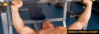 Routine A Powerful Bench Press Routine For a Bigger Bench