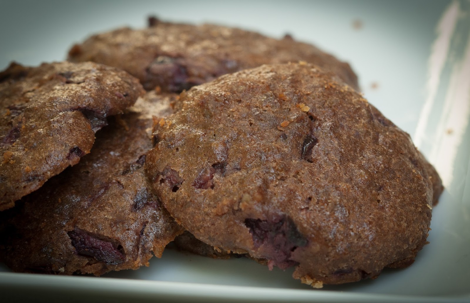 A Work in Progress Paleo Protein Cookies