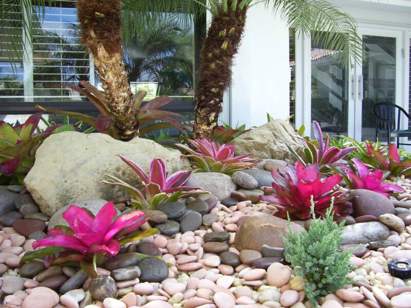 Gardening South Florida Style: Bromeliads in the Garden