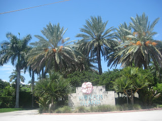 Miami Hibiscus Island