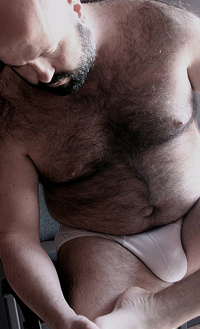 [Imagem: urso.png]