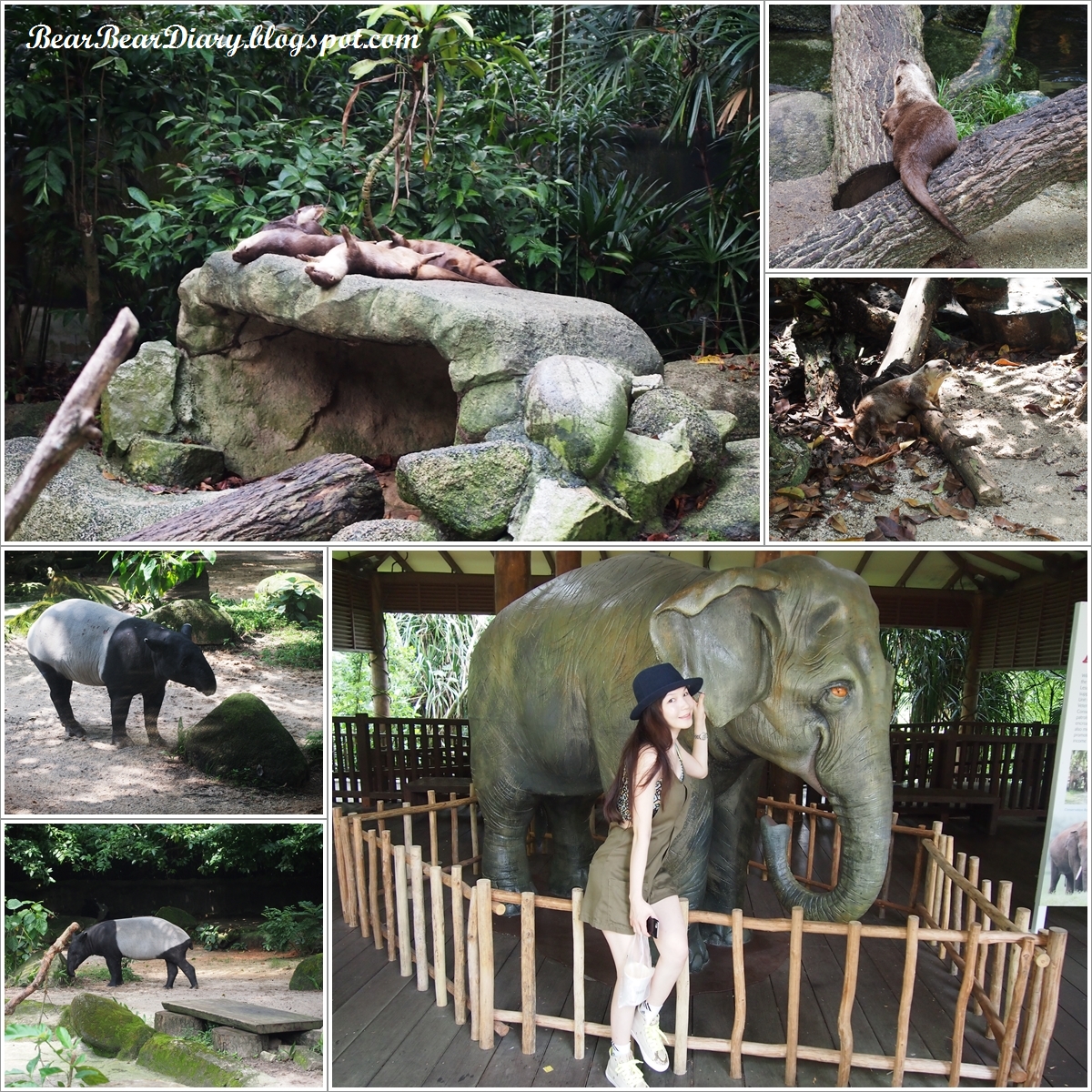 singapore zoo new year 2015 diary 183 184 184 164 singapore zoo and river safari 2015 singapore zoo new year 2015 diary 183 184 184 164 singapore zoo and river safari 2015