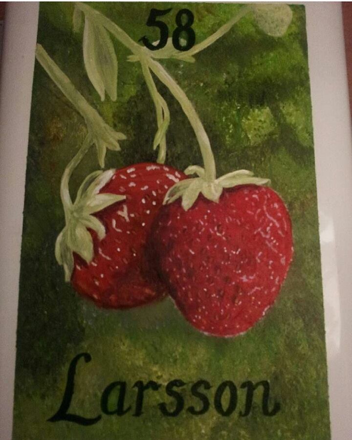 Jorgubbe / Strawberry