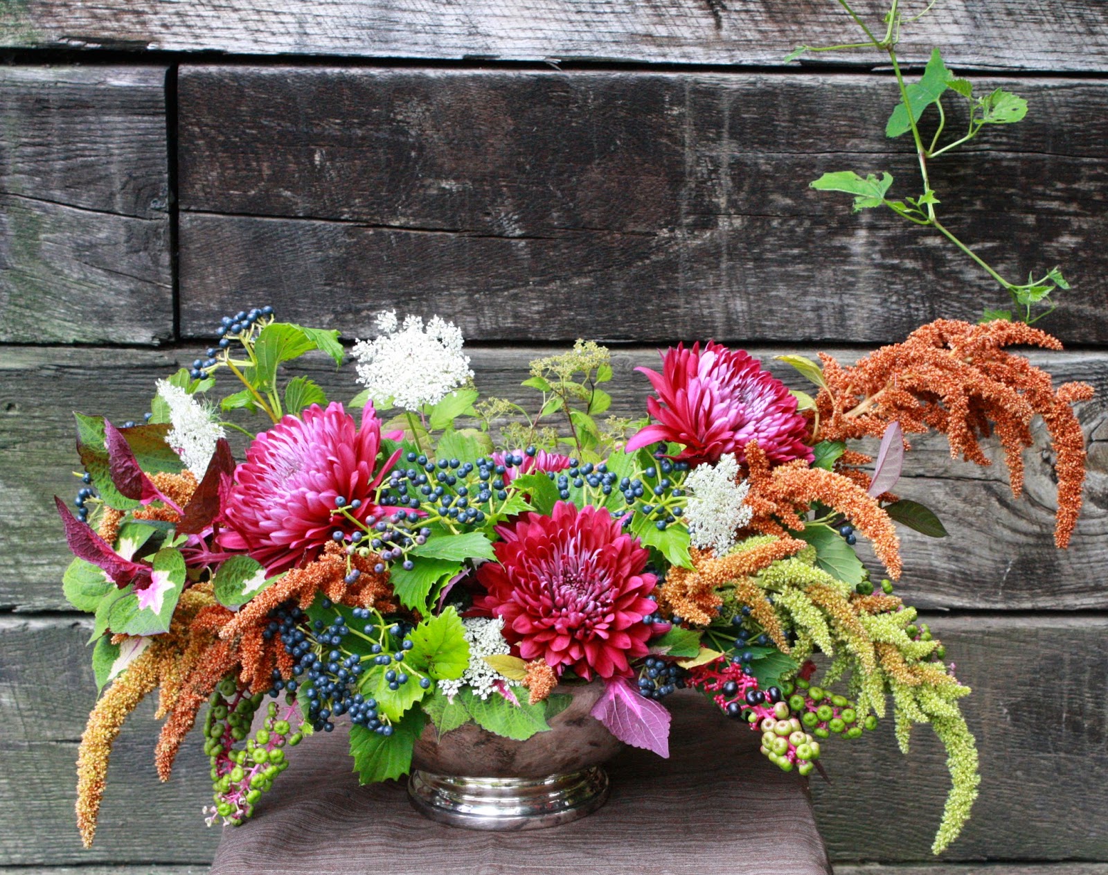 Scope for Imagination Could be my last flower post for awhile...