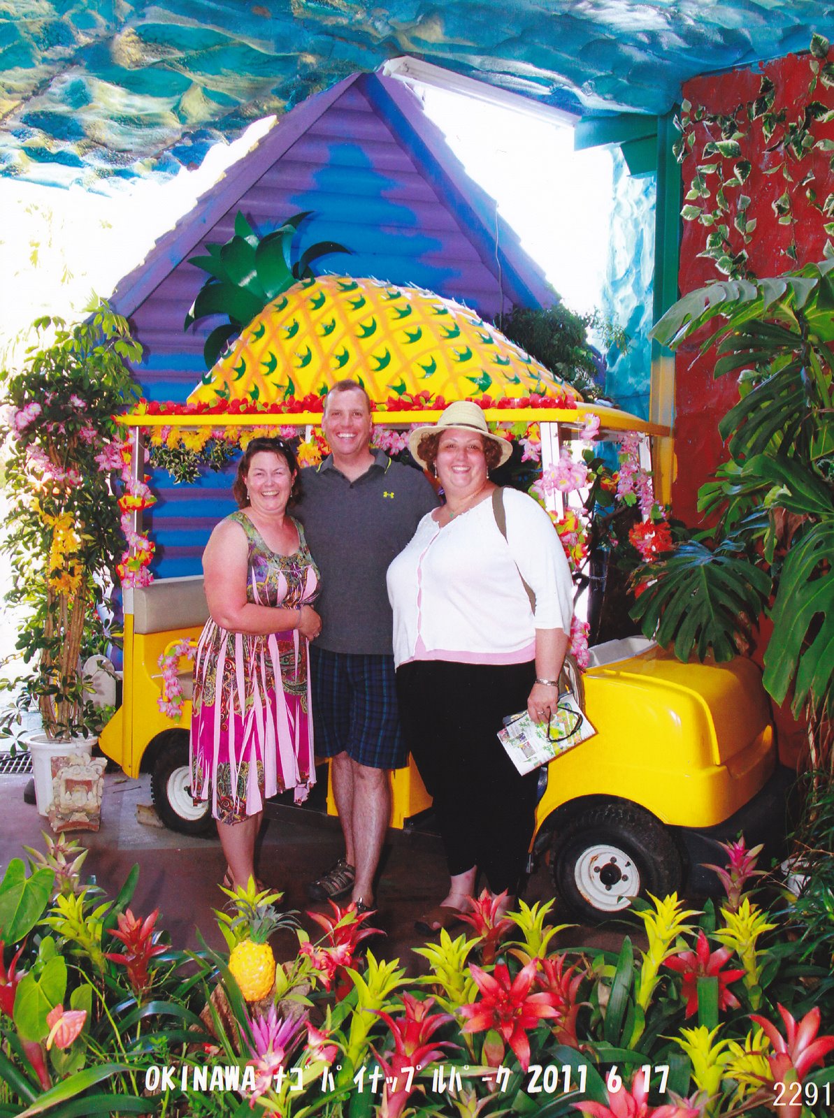 Wandering Weavers Pineapple Park