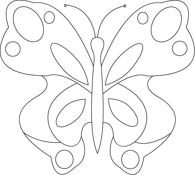 ``Shawkl``: Free Butterfly Pattern