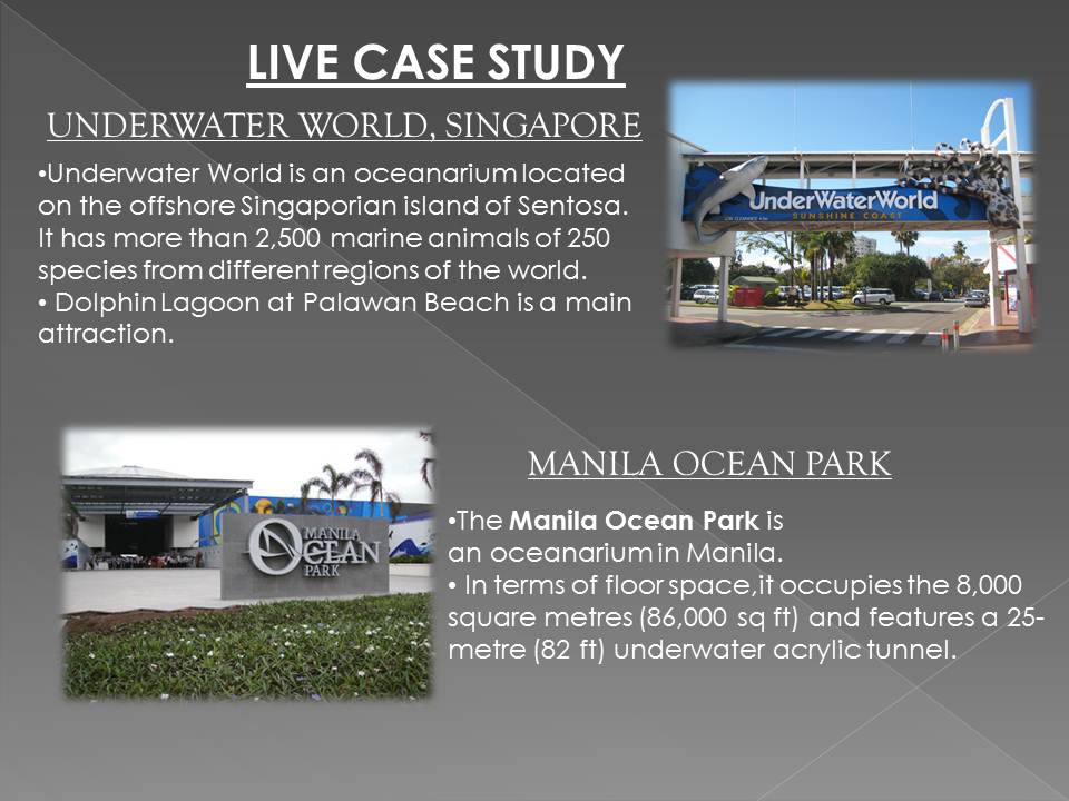 Oceanarium thesis synopsis picture