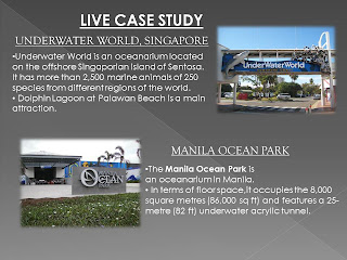 Oceanarium thesis synopsis image