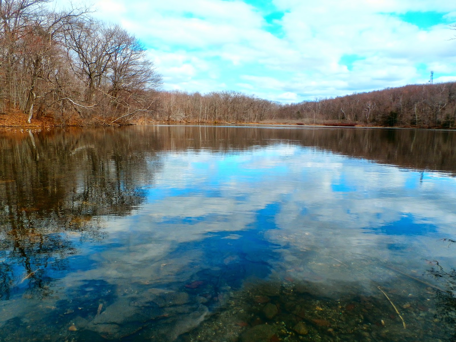 Walking Man 24 7 Berry Pond Circuit Road(Pittsfield State Forest)