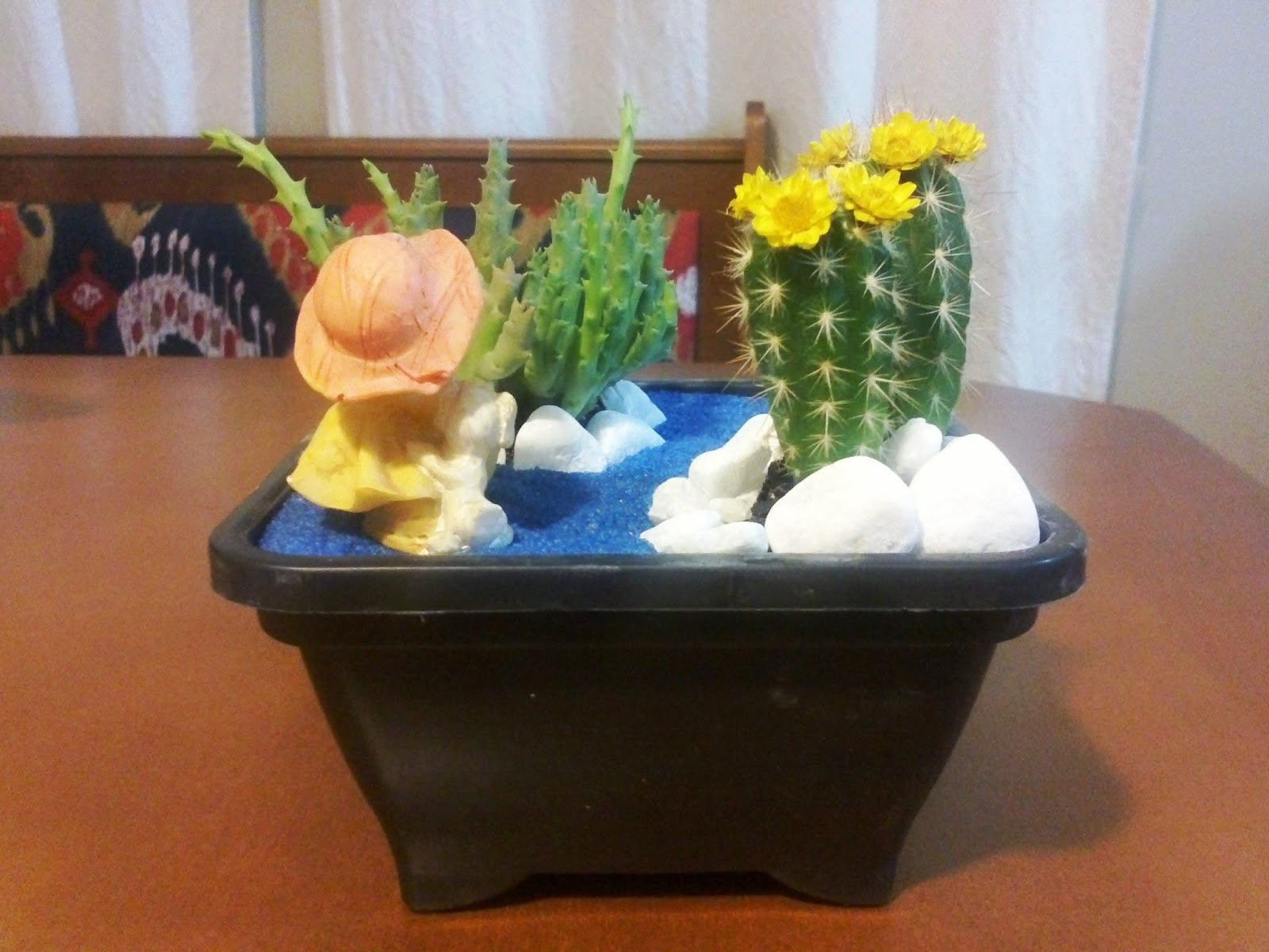mini jardim cactos suculentas:Inovando com Cactos e Suculentas.: Mini Jardim de Cactos. mini jardim cactos suculentas:Inovando com Cactos e Suculentas.: Mini Jardim de Cactos.