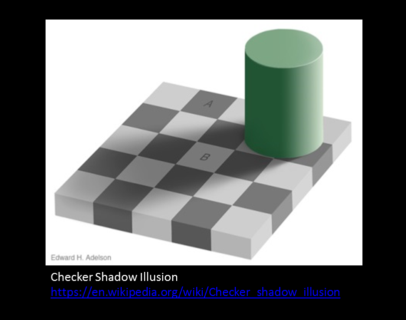 birding image quality tool human bias brightness illusions checker shadow illusion how it works