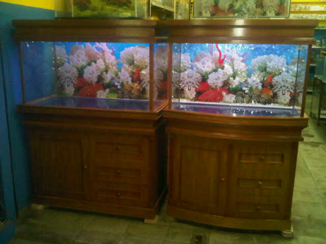 jual Aquarium murah