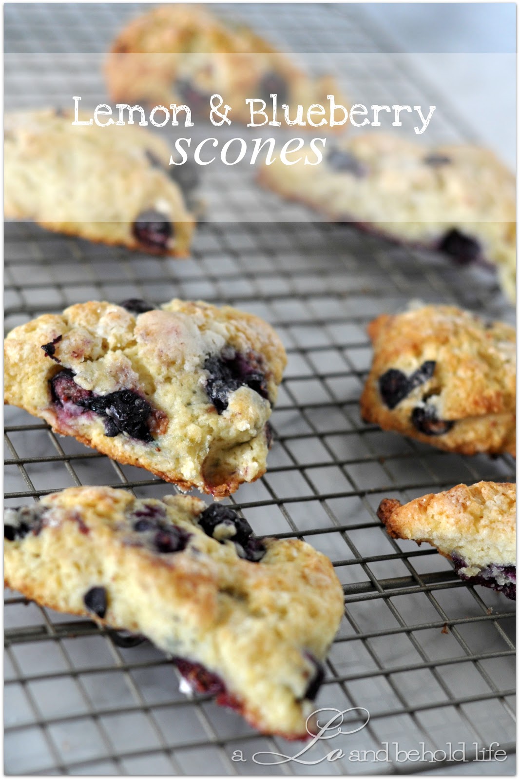 Lemon Blueberry Scones | A Lo and Behold Life