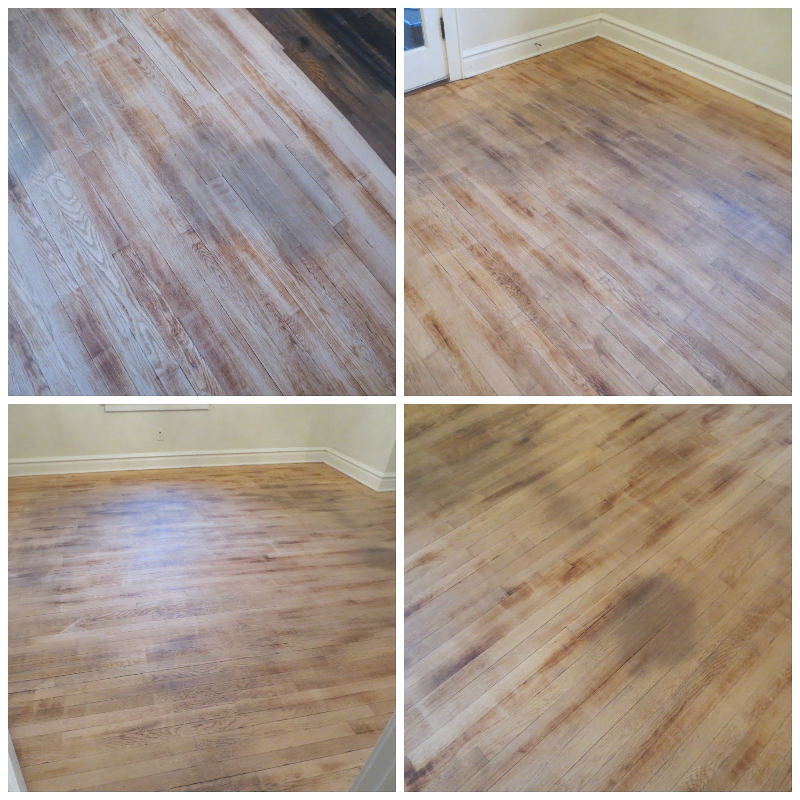 beyond the portico PROGRESS ON EBONIZING THE HARDWOOD FLOORS...