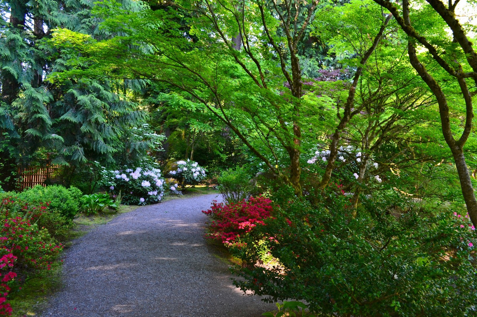 Linda Letters:: Sunday Morning Stroll - Bellevue Botanical Garden