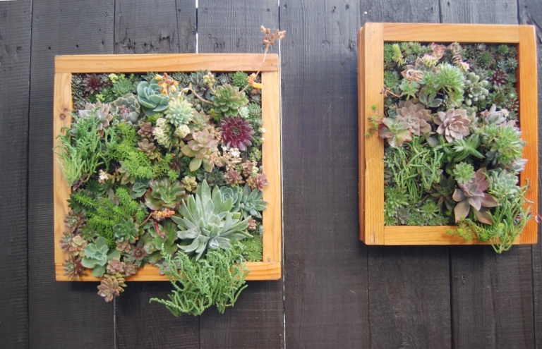 Ewa in the Garden: Low maintenance succulent vertical garden
