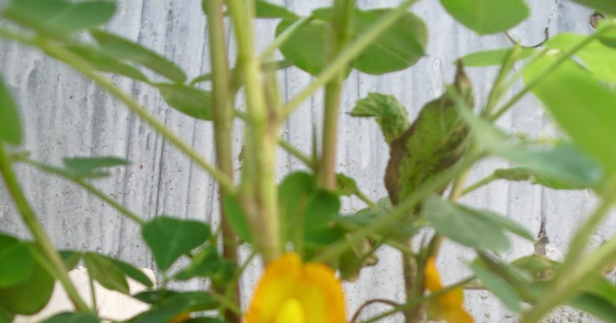 波特兰先生的博客