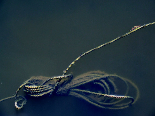 Unraveled String