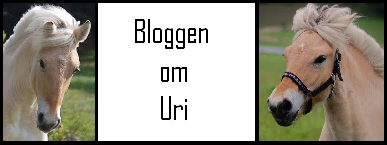 Bloggen om Uri