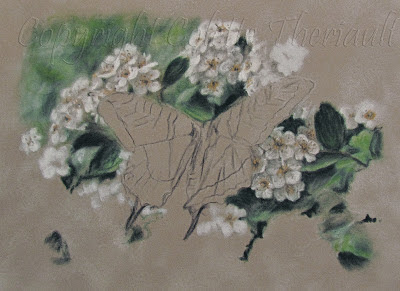 Miniature Wildlife Painting in pastel by Award Winning Artist Colette Theriault