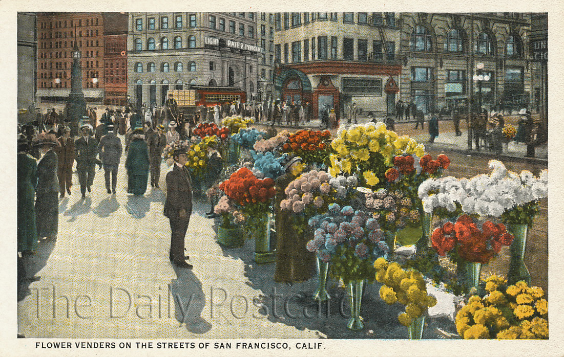 The Daily Postcard San Francisco Flower Vendors