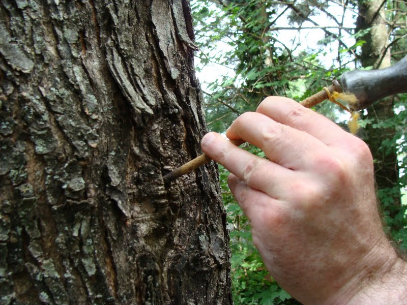 braxton and yancey HOW TO INSTALL A CLASSIC ROPE HAMMOCK