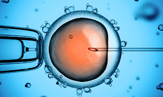Stem cell creation mapped Despite seven years of reprogramming adult cells, this is the first time scientists have mapped the process from mature cell to induced pluripotent stem cell in detail. Image: koya979/Shutterstock
