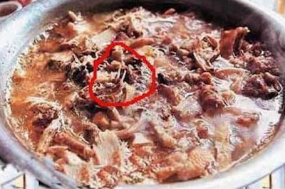 Biadab, Sop Kucing Pun Ternyata Ada di China