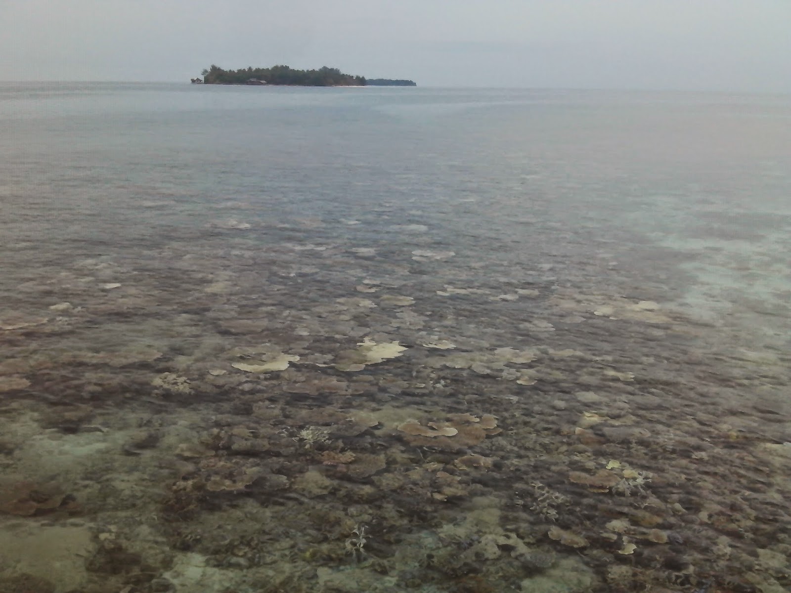 sea karimunjava sea karimunjava Indonesia