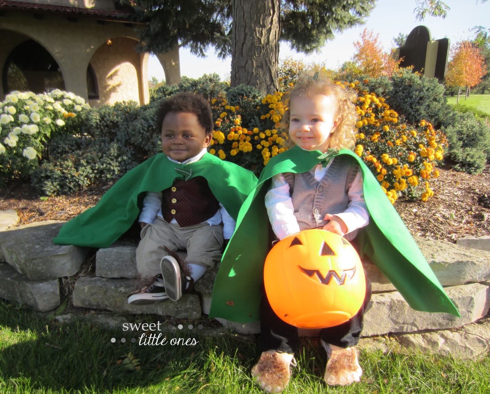 Sweet Little Ones DIY Hobbit Halloween Costumes