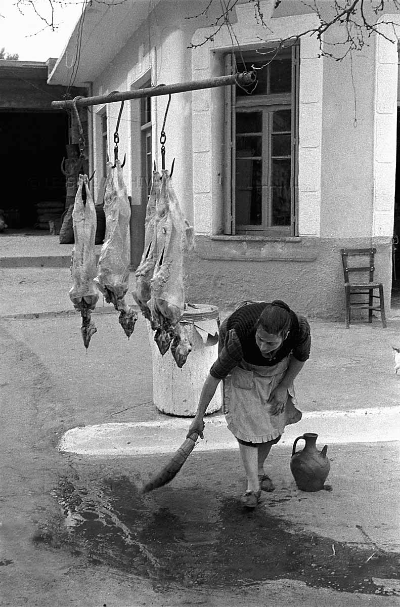Woman sweeping her yard after slaughtering sheep, Mallia, Crete, 1955