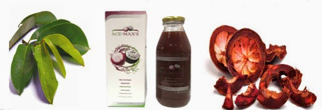 Obat Herbal Menyembuhkan Kanker Payudara Sampai Sembuh total Obat Herbal Menyembuhkan Kanker Payudara Sampai Sembuh total