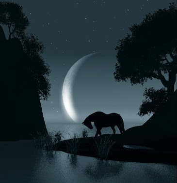 Cavallo della Luna