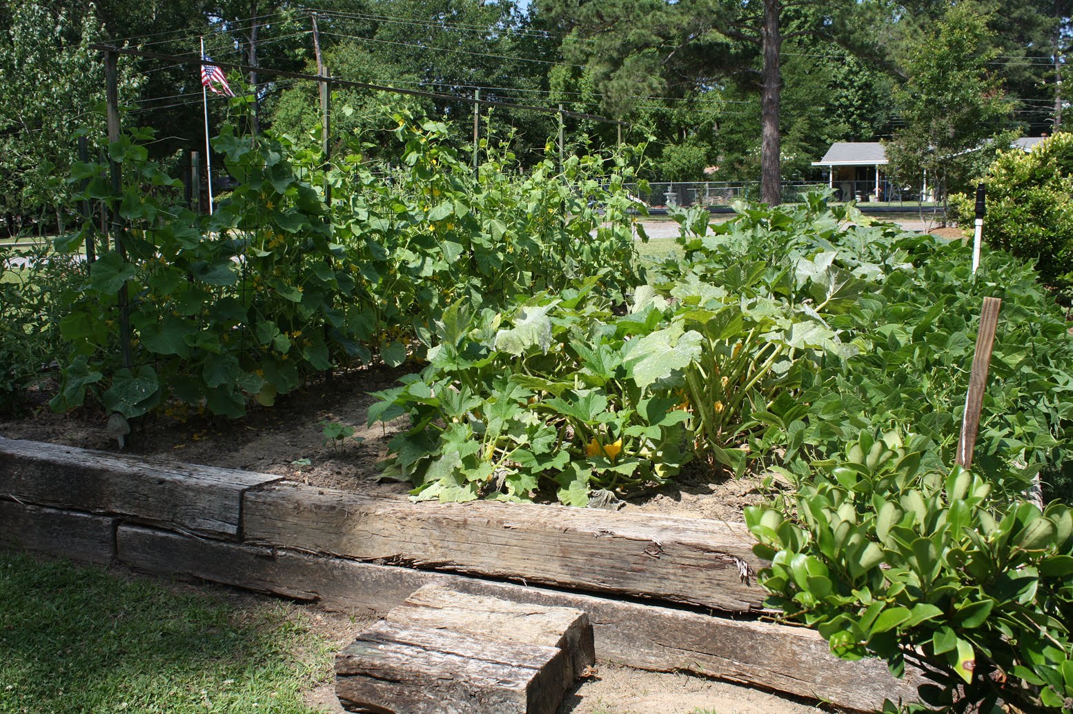 Southern Lagniappe A Garden Legacy