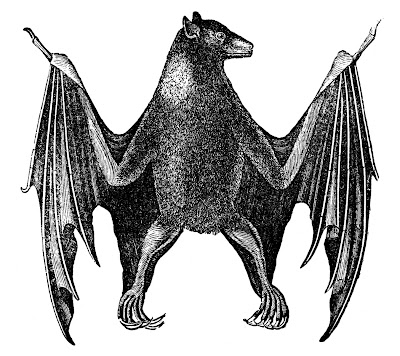 bat%2Bvintage%2Bimage%2Bgraphicsfairy007a.jpg