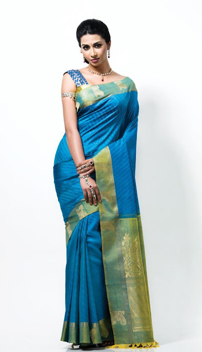 gayathiri wonderful saree ad collections 2012 photo gallery