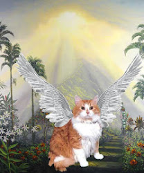 Wednesday Linkies image-30511