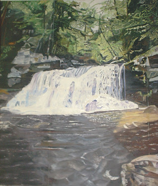 Equinunk, Waterfall