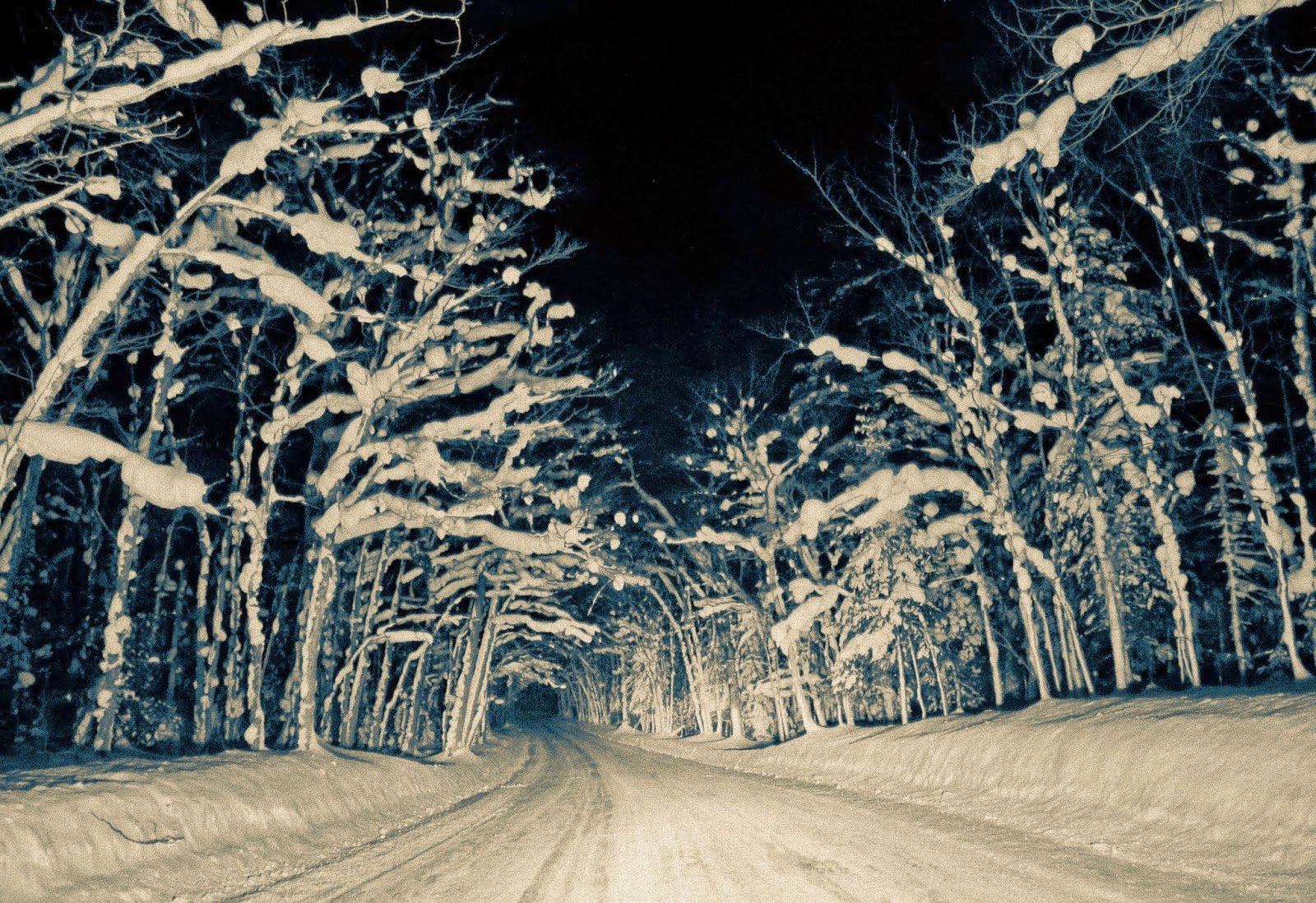 Universal Klister Winter Copper Harbor Respite Defying labels.