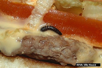 gusano negro en hamburguesa de mcdonalds