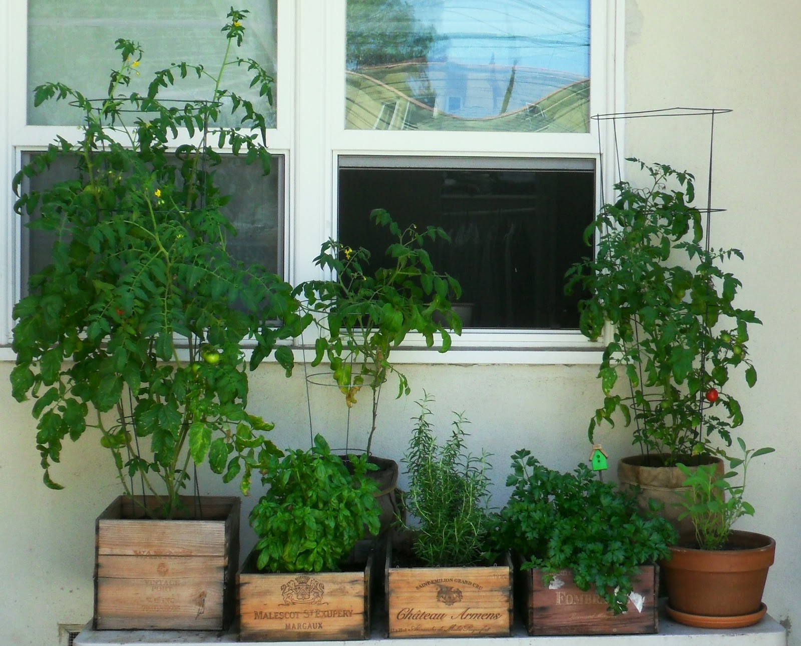 love & moss wine crate container garden diy