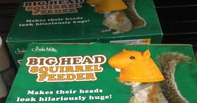 Squirrel Museum Cocoa Beach Squirrel Stuff Big Head Squirrel Feeder