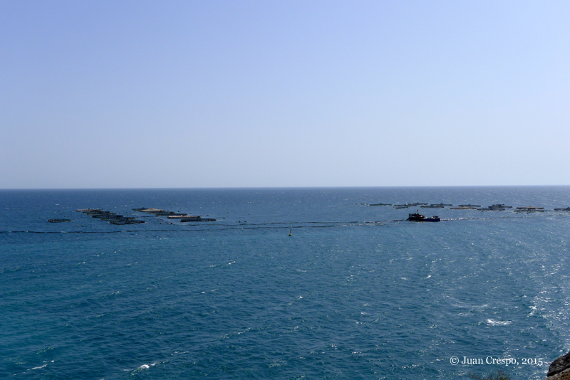 Camping Mar Azul Balerma Cat Camping Mar Azul Balerma Cat