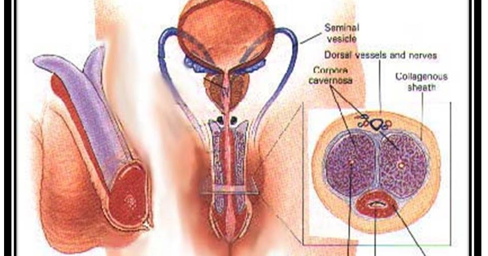 What Is Male Breast Enlargement?