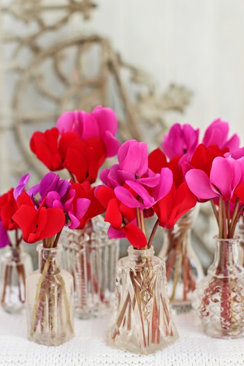 Cyclamen as Cut Flowers
