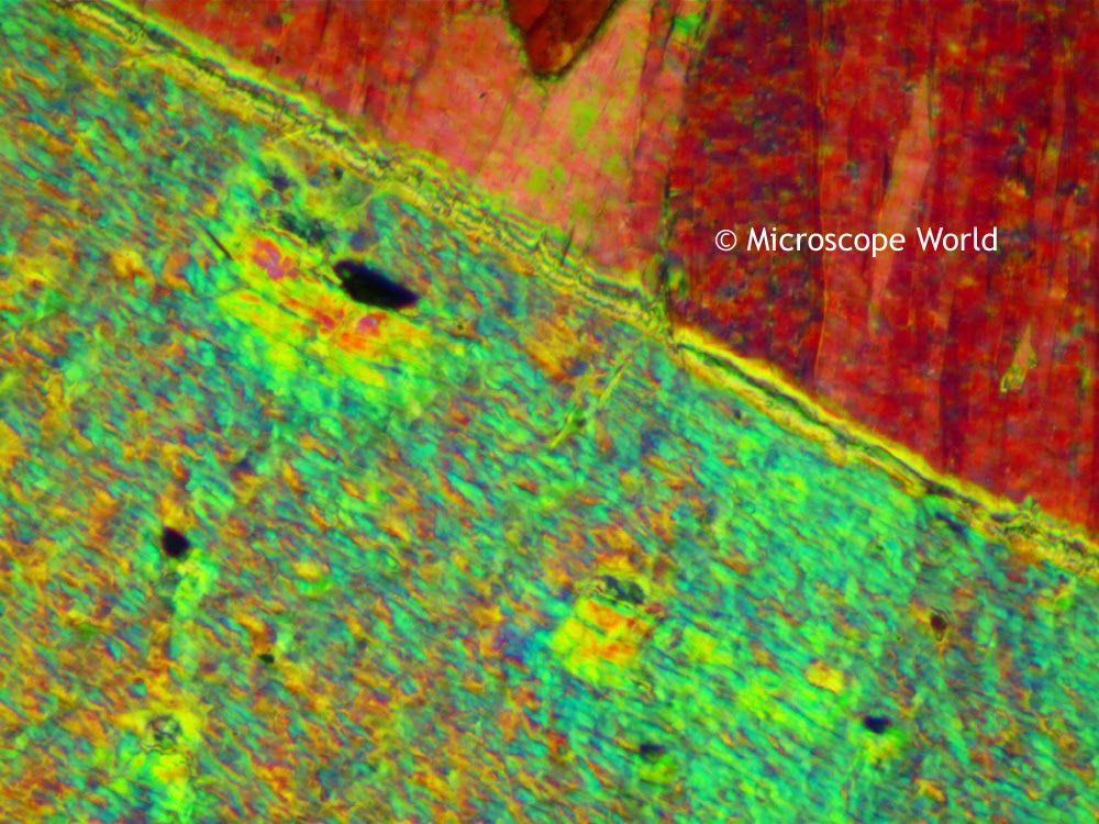 Tremolite under a polarizing microscope utilizing the full wave plate.