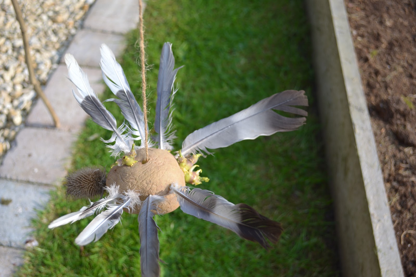How to make a potato Bird Scarer Kidsinthegarden