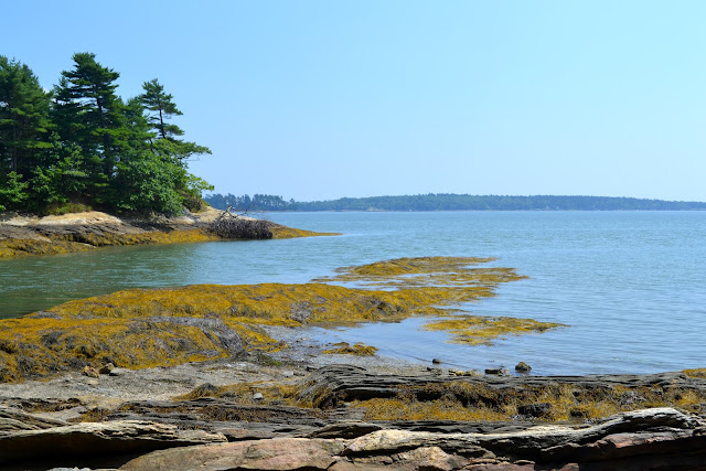 Freeport, Maine Coastline