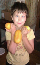 Garden Harvest of Cukes