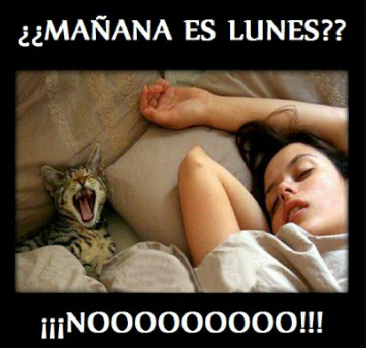 Imagenes chistosas de los lunes para descargar Imagenes chistosas de los lunes para descargar